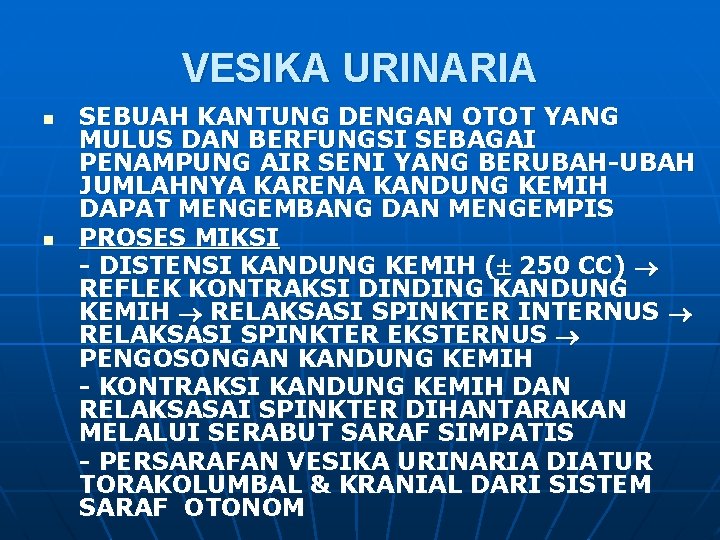 VESIKA URINARIA n n SEBUAH KANTUNG DENGAN OTOT YANG MULUS DAN BERFUNGSI SEBAGAI PENAMPUNG