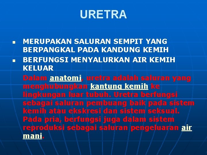 URETRA n n MERUPAKAN SALURAN SEMPIT YANG BERPANGKAL PADA KANDUNG KEMIH BERFUNGSI MENYALURKAN AIR