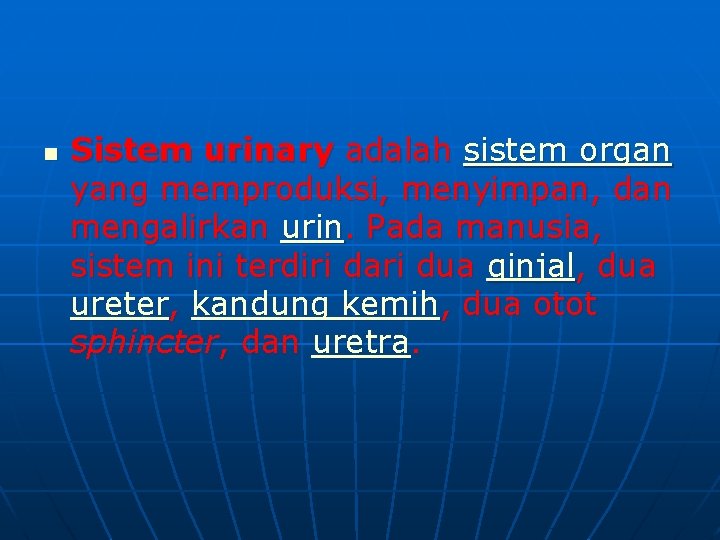 n Sistem urinary adalah sistem organ yang memproduksi, menyimpan, dan mengalirkan urin. Pada manusia,