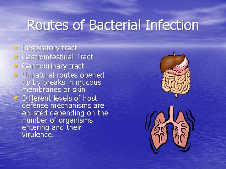 Routes of Bacterial Infection • • • Respiratory tract Gastrointestinal Tract Genitourinary tract Unnatural