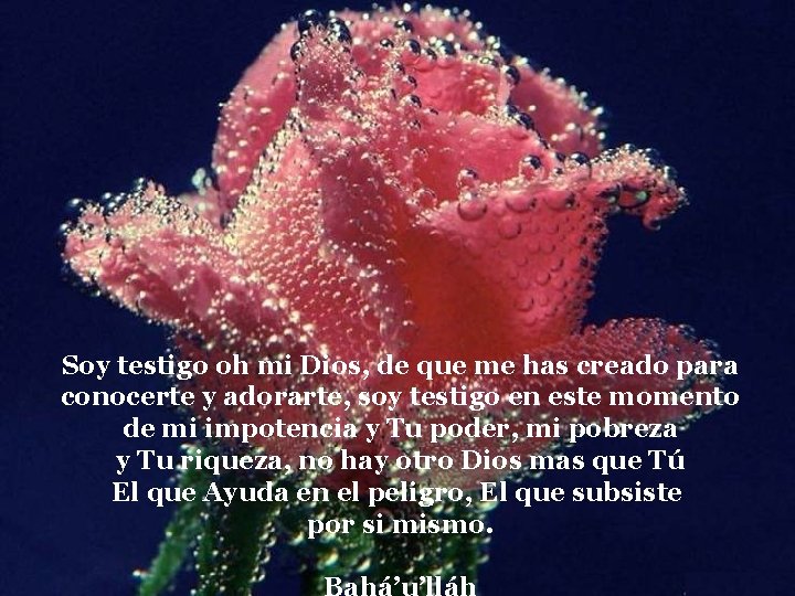 Soy testigo oh mi Dios, de que me has creado para conocerte y adorarte, Soy testigo oh mi Dios, de que me has creado para conocerte y adorarte,
