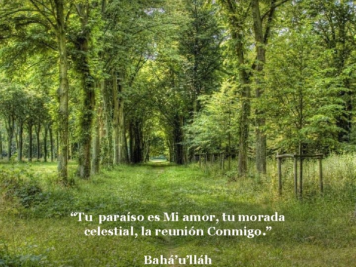 “Tu paraíso es Mi amor, tu morada celestial, la reunión Conmigo. ” Bahá’u’lláh 