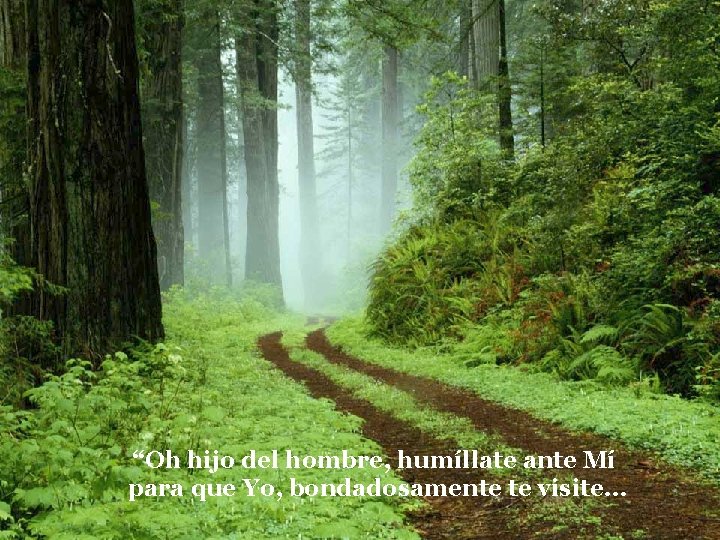 “Oh hijo del hombre, humíllate ante Mí para que Yo, bondadosamente te visite… “Oh hijo del hombre, humíllate ante Mí para que Yo, bondadosamente te visite…