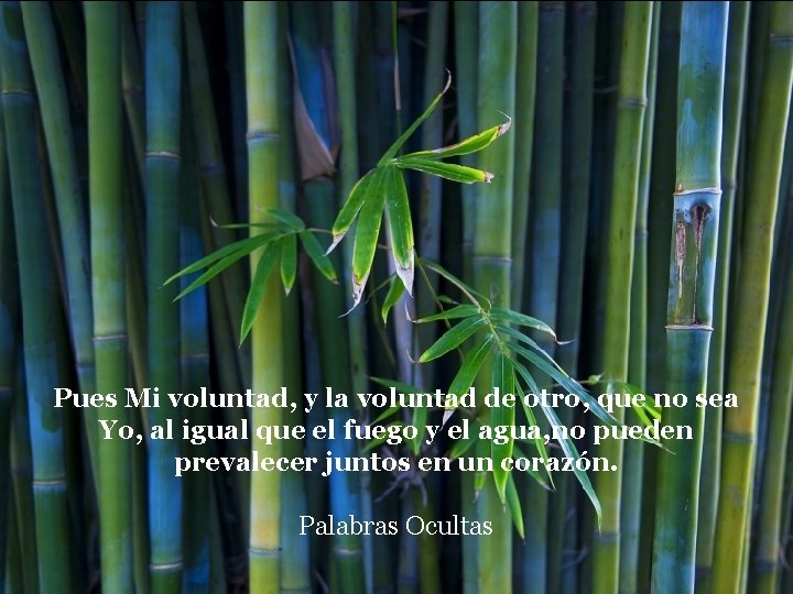 Pues Mi voluntad, y la voluntad de otro, que no sea Yo, al igual Pues Mi voluntad, y la voluntad de otro, que no sea Yo, al igual