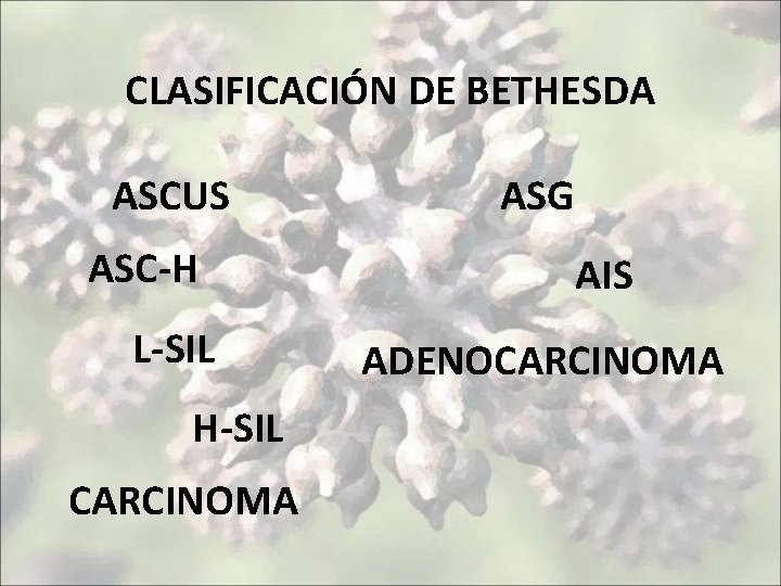 CLASIFICACIÓN DE BETHESDA ASCUS ASC-H L-SIL H-SIL CARCINOMA ASG AIS ADENOCARCINOMA 
