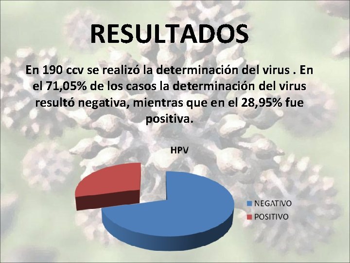 RESULTADOS En 190 ccv se realizó la determinación del virus. En el 71, 05%