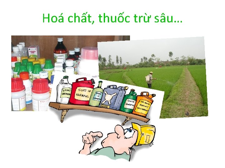 Hoá chất, thuốc trừ sâu… 
