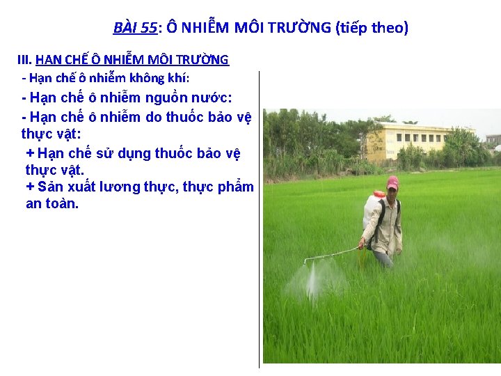 BÀI 55: Ô NHIỄM MÔI TRƯỜNG (tiếp theo) III. HẠN CHẾ Ô NHIỄM MÔI