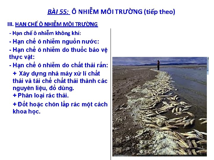 BÀI 55: Ô NHIỄM MÔI TRƯỜNG (tiếp theo) III. HẠN CHẾ Ô NHIỄM MÔI