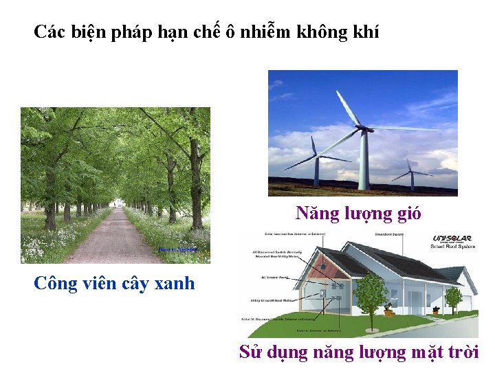 Các biện pháp hạn chế ô nhiễm không khí Năng lượng gió Công viên