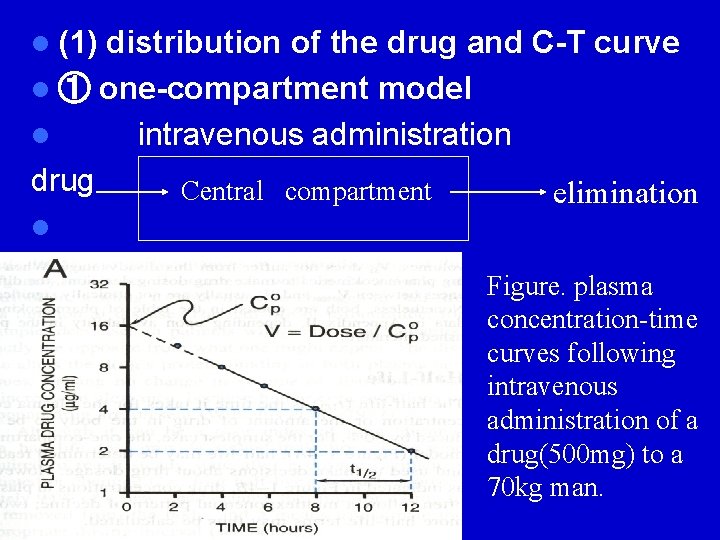 l (1) distribution of the drug and C-T curve l ① one-compartment model l