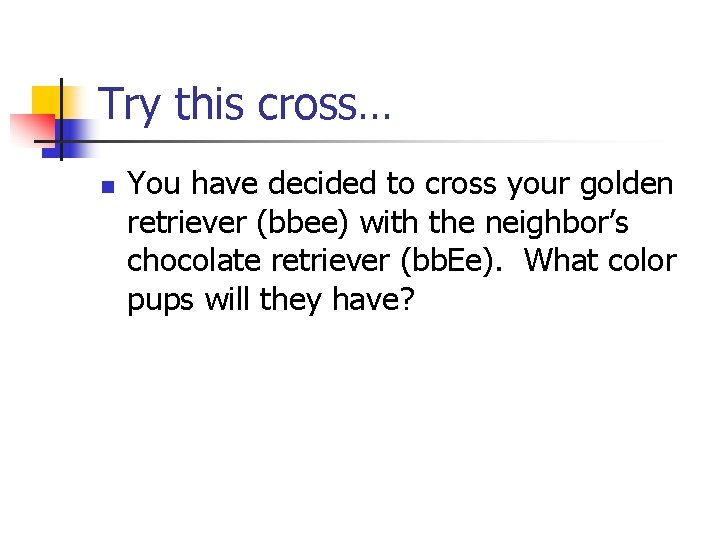 Try this cross… n You have decided to cross your golden retriever (bbee) with