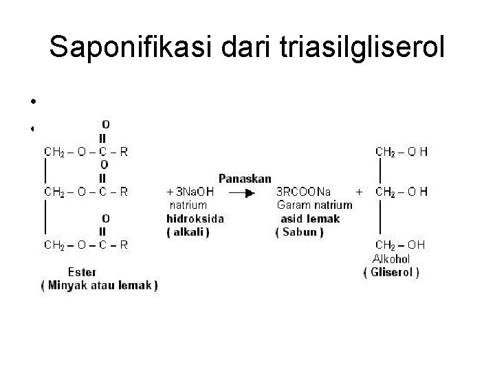 Saponifikasi dari triasilgliserol • • Saponifikasi dari triasilgliserol • •