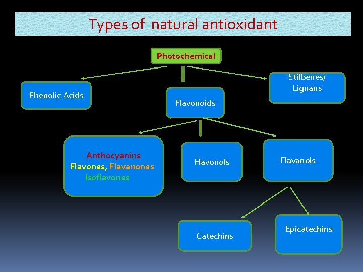 Types of natural antioxidant Photochemical Phenolic Acids Anthocyanins Flavones, Flavanones Isoflavones Stilbenes/ Lignans Flavonoids Types of natural antioxidant Photochemical Phenolic Acids Anthocyanins Flavones, Flavanones Isoflavones Stilbenes/ Lignans Flavonoids