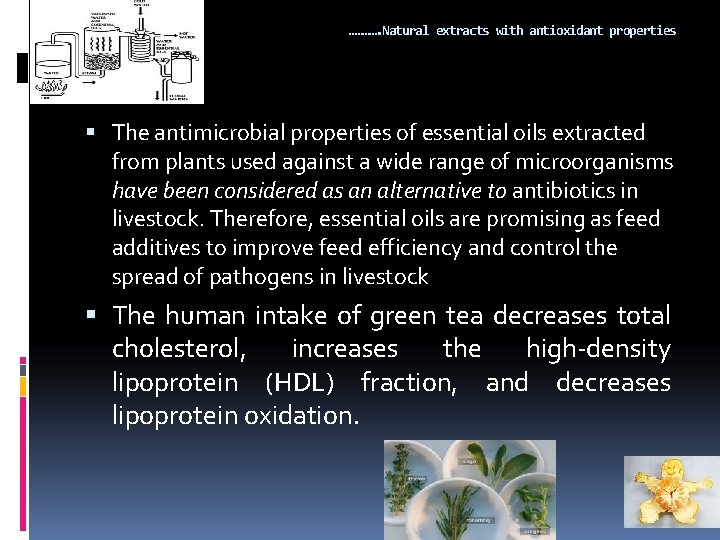 …………. Natural extracts with antioxidant properties The antimicrobial properties of essential oils extracted from …………. Natural extracts with antioxidant properties The antimicrobial properties of essential oils extracted from