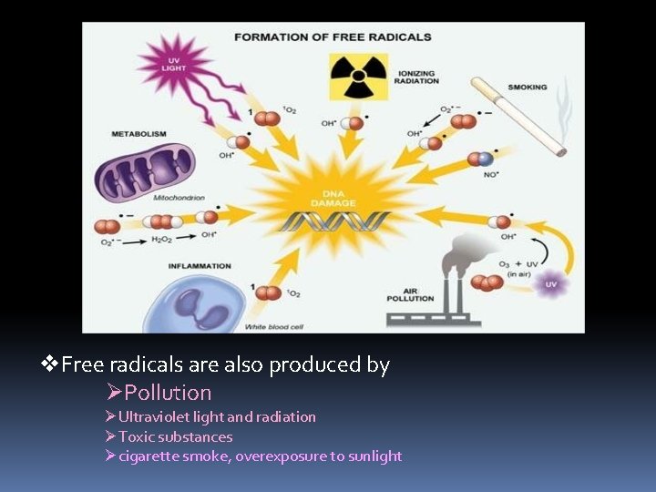 v. Free radicals are also produced by ØPollution ØUltraviolet light and radiation ØToxic substances v. Free radicals are also produced by ØPollution ØUltraviolet light and radiation ØToxic substances
