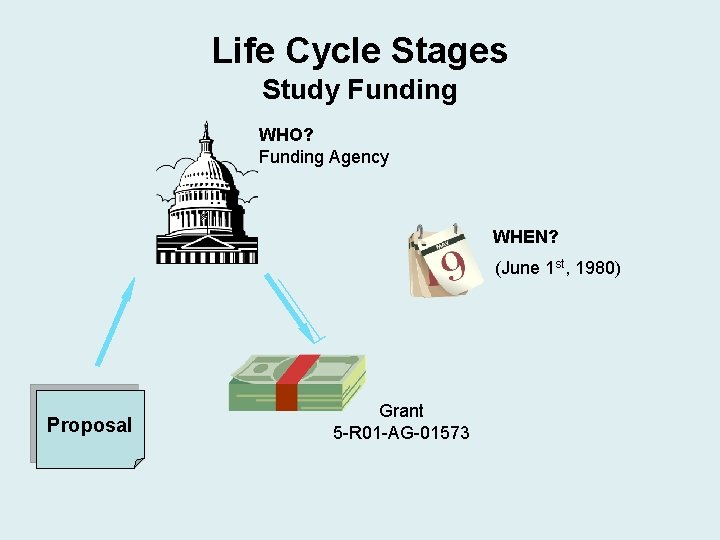 Life Cycle Stages Study Funding WHO? Funding Agency WHEN? (June 1 st, 1980) Proposal Life Cycle Stages Study Funding WHO? Funding Agency WHEN? (June 1 st, 1980) Proposal