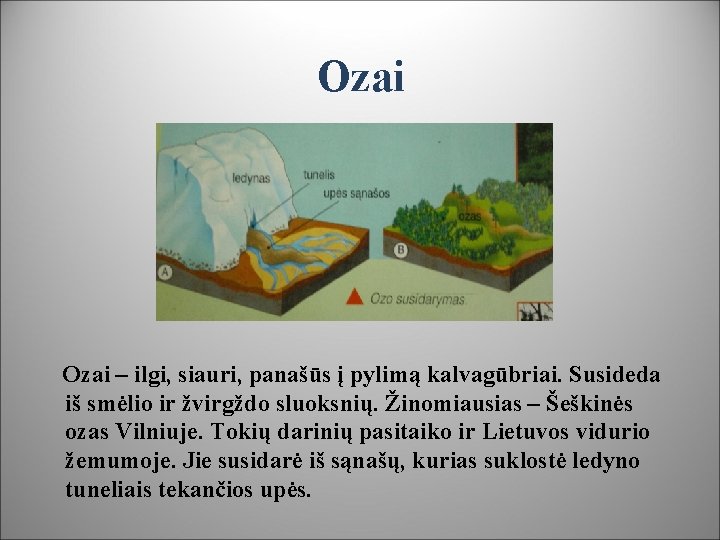 Ozai – ilgi, siauri, panašūs į pylimą kalvagūbriai. Susideda iš smėlio ir žvirgždo sluoksnių.