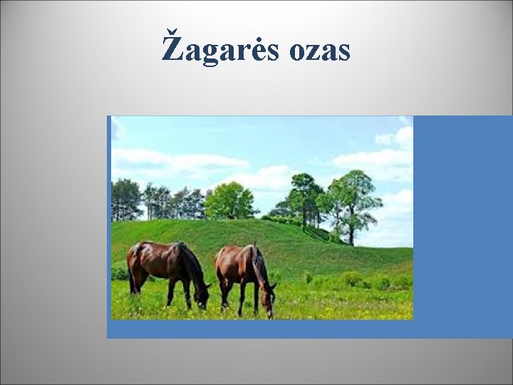 Žagarės ozas 