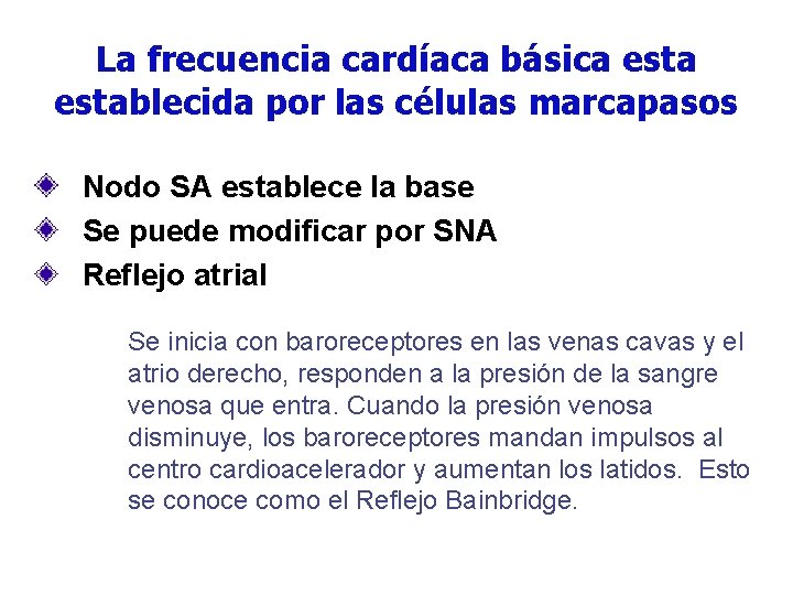 La frecuencia cardíaca básica establecida por las células marcapasos Nodo SA establece la base