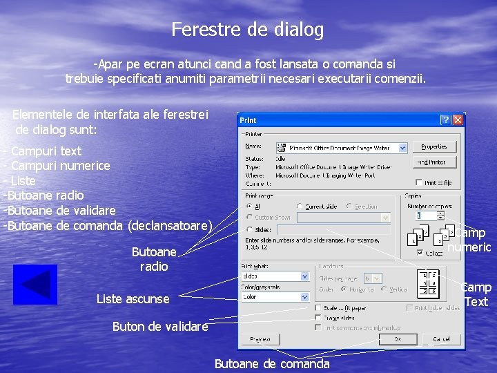 Ferestre de dialog -Apar pe ecran atunci cand a fost lansata o comanda si