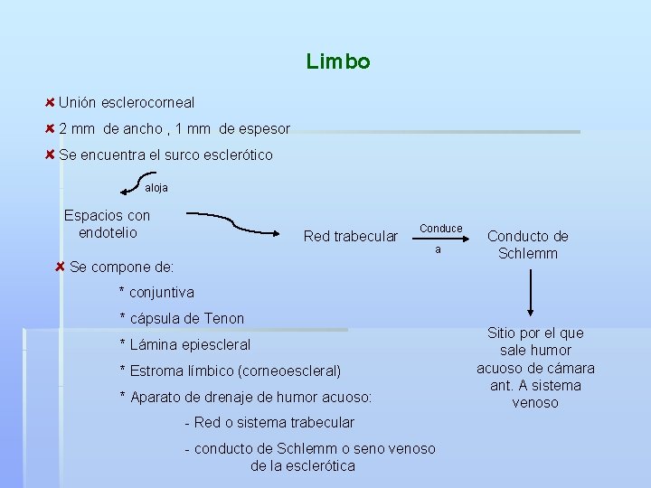 Limbo Unión esclerocorneal 2 mm de ancho , 1 mm de espesor Se encuentra