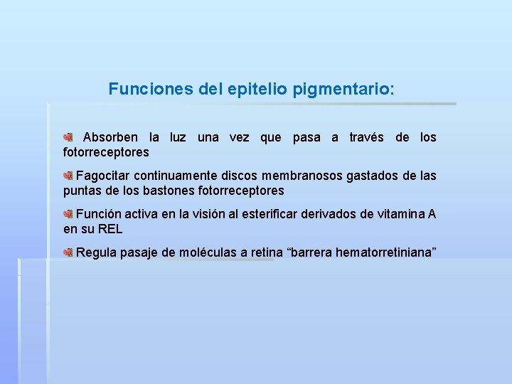 Funciones del epitelio pigmentario: Absorben la luz una vez que pasa a través de