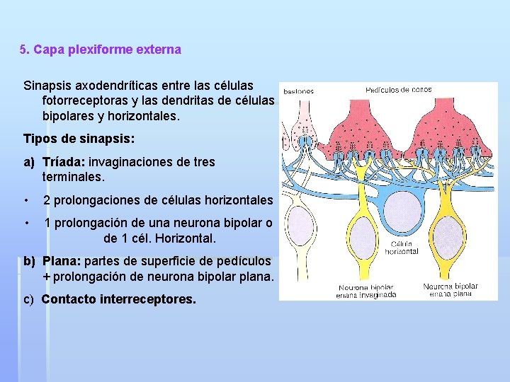 UNIVERSIDAD AUTNOMA DE ZACATECAS Francisco Garca Salinas UNIDAD