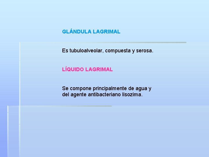 GLÁNDULA LAGRIMAL Es tubuloalveolar, compuesta y serosa. LÍQUIDO LAGRIMAL Se compone principalmente de agua