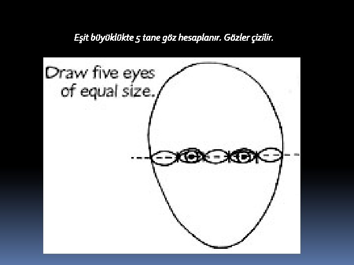 Eşit büyüklükte 5 tane göz hesaplanır. Gözler çizilir. 