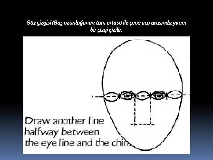 Göz çizgisi (Baş uzunluğunun tam ortası) ile çene ucu arasında yarım bir çizgi çizilir.