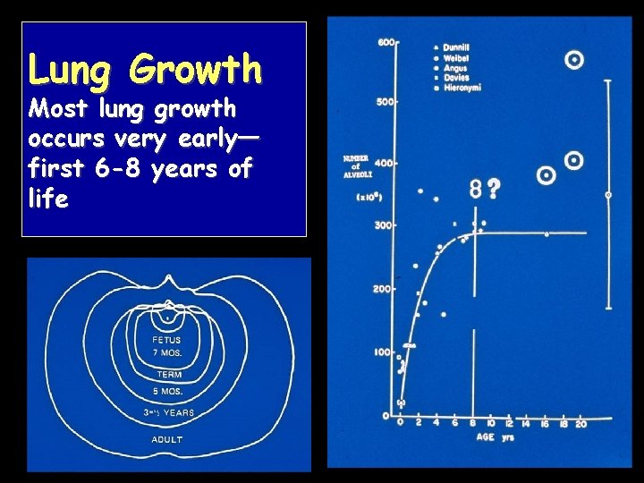 Lung Growth Most lung growth occurs very early— first 6 -8 years of life