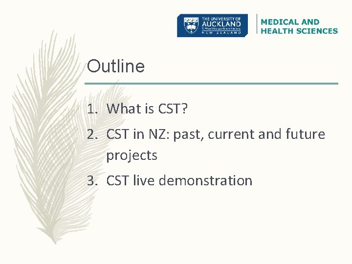 Outline 1. What is CST? 2. CST in NZ: past, current and future projects