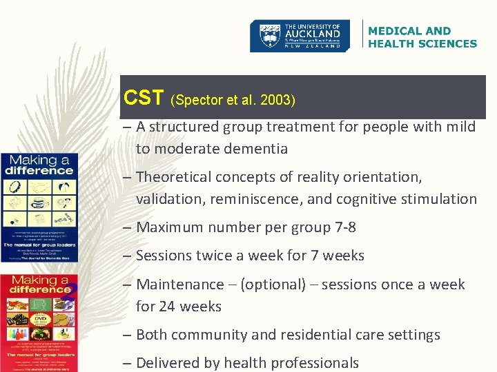 CST (Spector et al. 2003) – A structured group treatment for people with mild