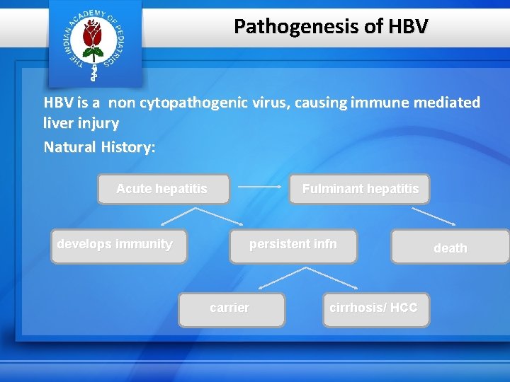 Pathogenesis of HBV is a non cytopathogenic virus, causing immune mediated liver injury Natural