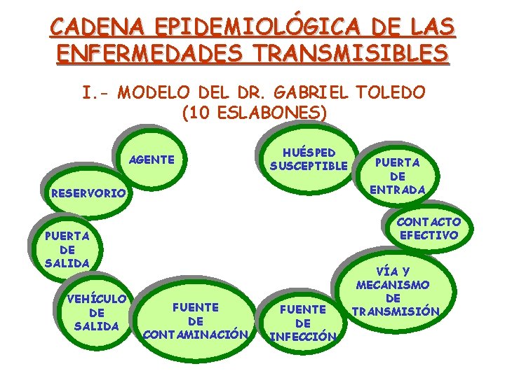 CADENA EPIDEMIOLÓGICA DE LAS ENFERMEDADES TRANSMISIBLES I. - MODELO DEL DR. GABRIEL TOLEDO (10