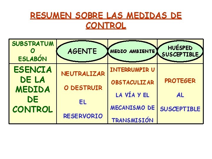 RESUMEN SOBRE LAS MEDIDAS DE CONTROL SUBSTRATUM O ESLABÓN ESENCIA DE LA MEDIDA DE