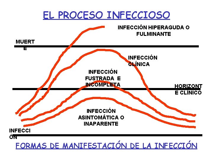 EL PROCESO INFECCIOSO INFECCIÓN HIPERAGUDA O FULMINANTE MUERT E INFECCIÓN CLÍNICA INFECCIÓN FUSTRADA E