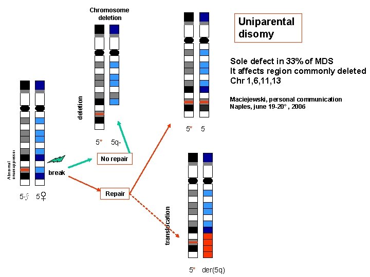 Chromosome deletion Uniparental disomy deletion Sole defect in 33% of MDS It affects region Chromosome deletion Uniparental disomy deletion Sole defect in 33% of MDS It affects region