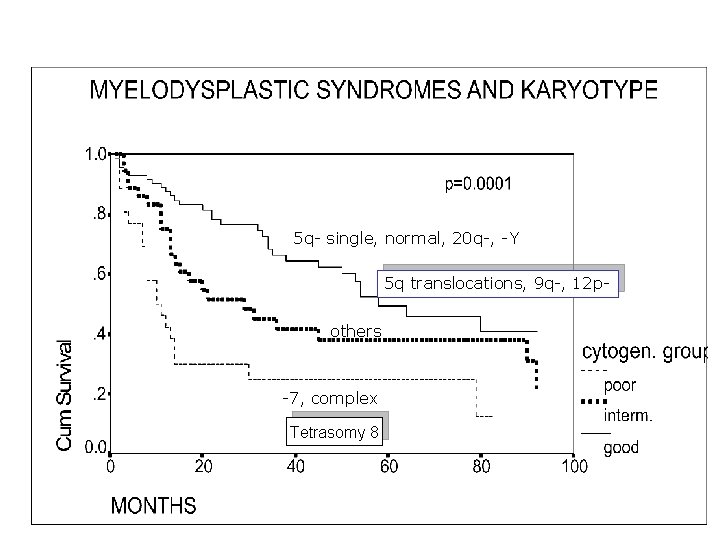 5 q- single, normal, 20 q-, -Y 5 q translocations, 9 q-, 12 pothers 5 q- single, normal, 20 q-, -Y 5 q translocations, 9 q-, 12 pothers