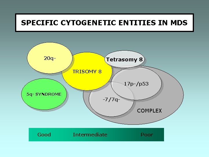 SPECIFIC CYTOGENETIC ENTITIES IN MDS 20 q- Tetrasomy 8 TRISOMY 8 17 p-/p 53 SPECIFIC CYTOGENETIC ENTITIES IN MDS 20 q- Tetrasomy 8 TRISOMY 8 17 p-/p 53
