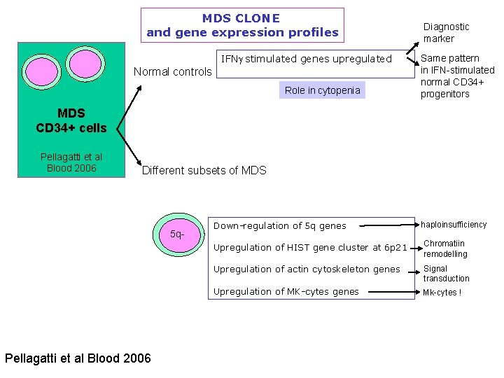 MDS CLONE and gene expression profiles IFNg stimulated genes upregulated Normal controls Role in MDS CLONE and gene expression profiles IFNg stimulated genes upregulated Normal controls Role in