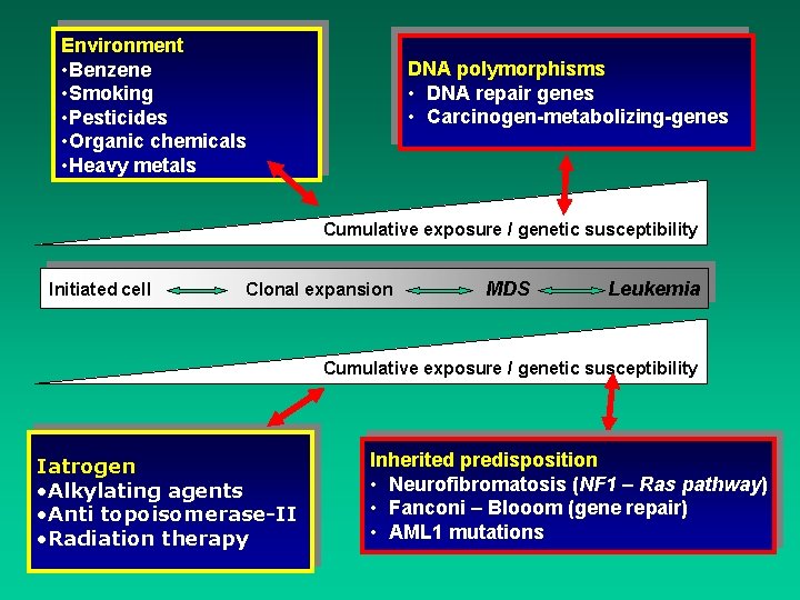 Environment • Benzene • Smoking • Pesticides • Organic chemicals • Heavy metals DNA Environment • Benzene • Smoking • Pesticides • Organic chemicals • Heavy metals DNA