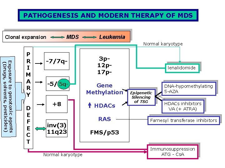PATHOGENESIS AND MODERN THERAPY OF MDS Clonal expansion Leukemia Normal karyotype Exposure to genotoxic PATHOGENESIS AND MODERN THERAPY OF MDS Clonal expansion Leukemia Normal karyotype Exposure to genotoxic
