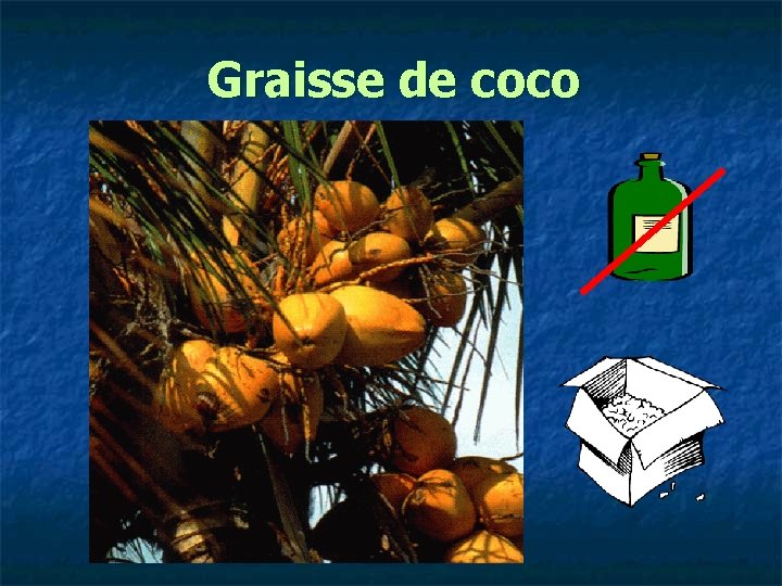 Graisse de coco 