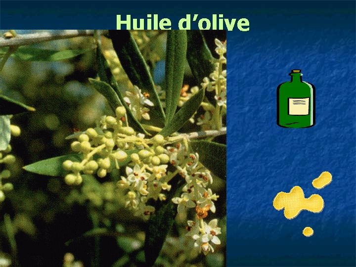 Huile d’olive 