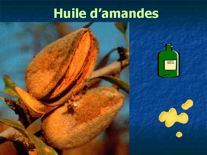 Huile d’amandes 