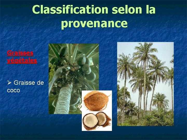 Classification selon la provenance Graisses végétales Ø Graisse de coco 