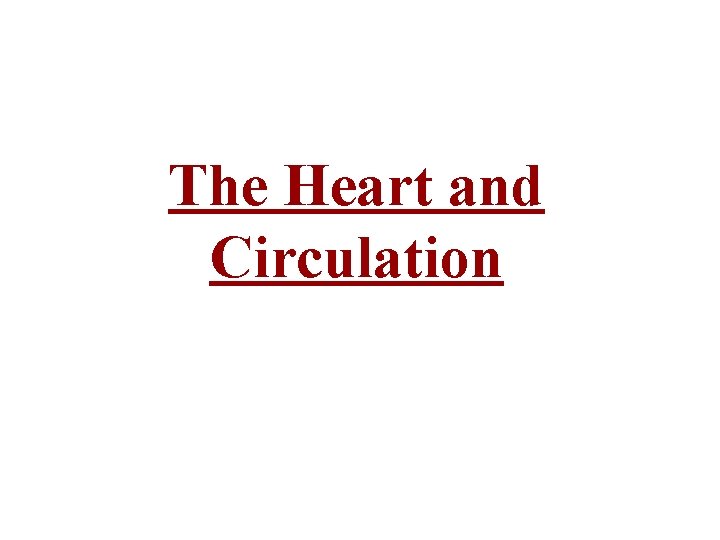 The Heart and Circulation 