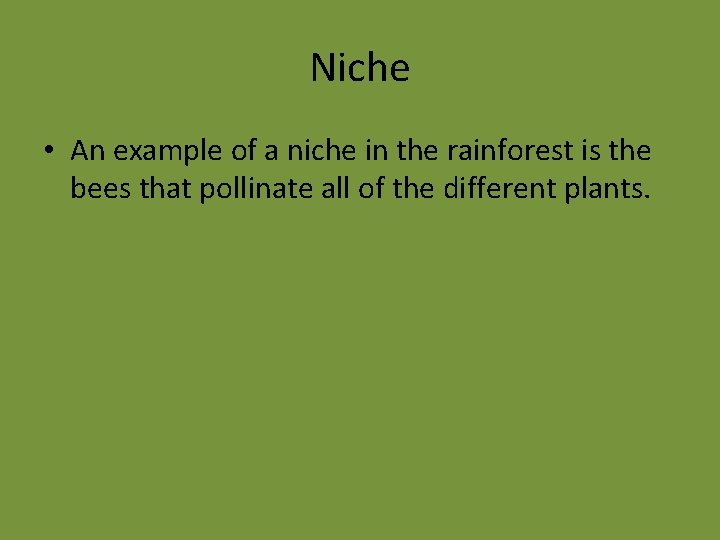 Niche • An example of a niche in the rainforest is the bees that